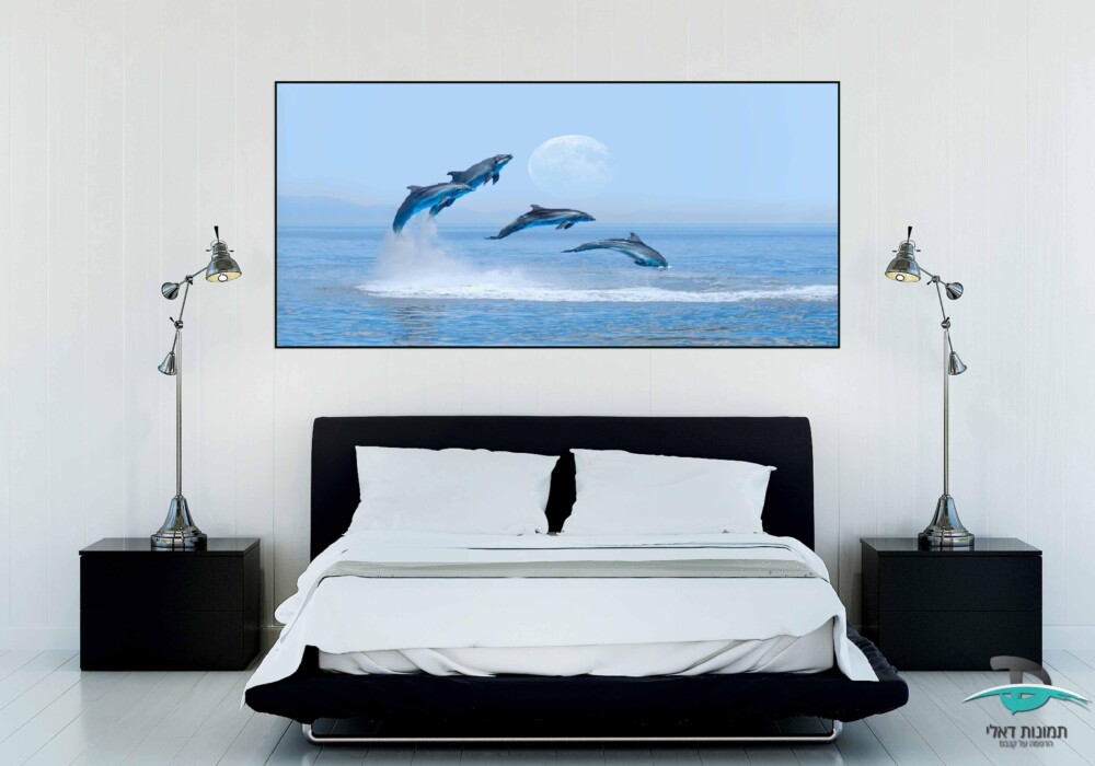 דולפינים על רקע ים ושמיים מסגרת