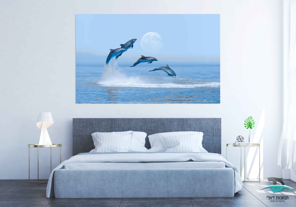 דולפינים על רקע ים ושמיים