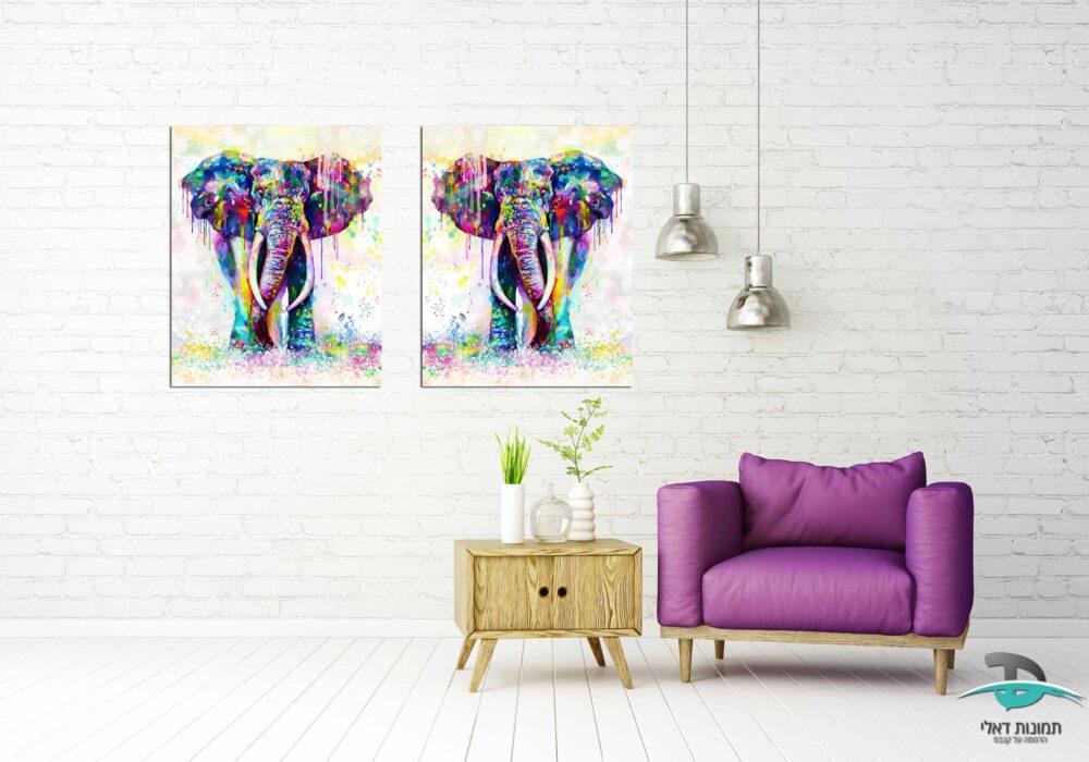 זוג תמונות פילים נשפך צבעוני