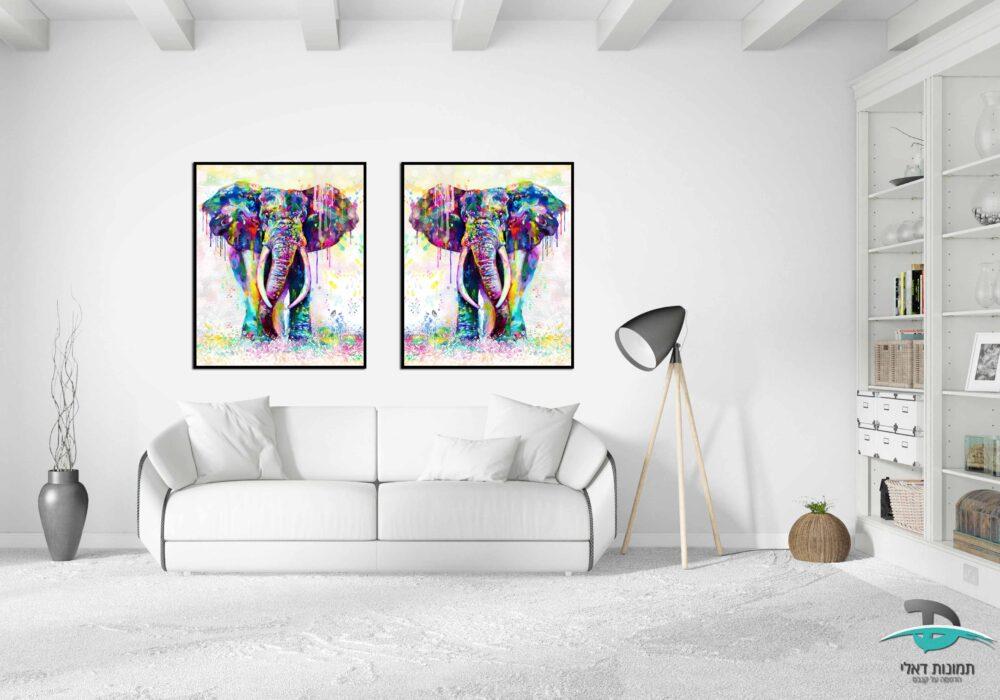 זוג תמונות פילים נשפך צבעוני מסגרת
