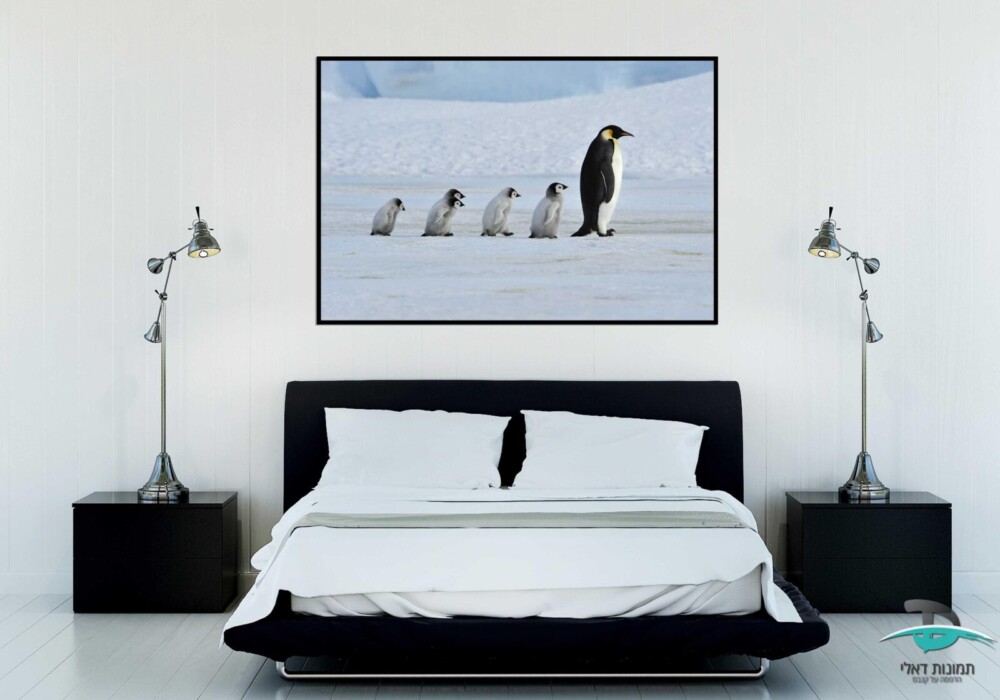 משפחת פינגווינים מהלכים מסגרת