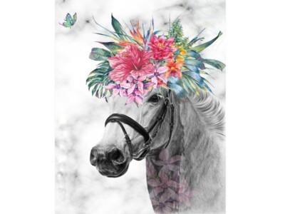 סוס הפרחים