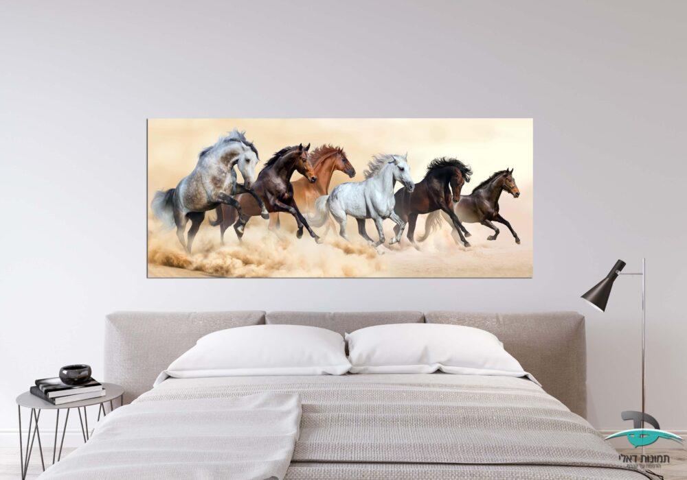 סוסים במדבר