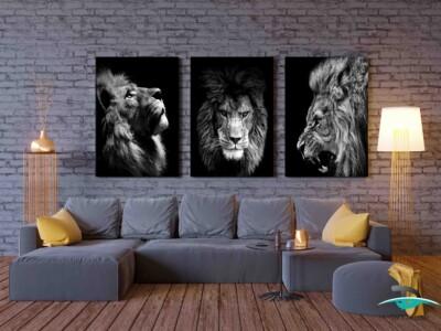 סט שלישייה עוצמת האריה