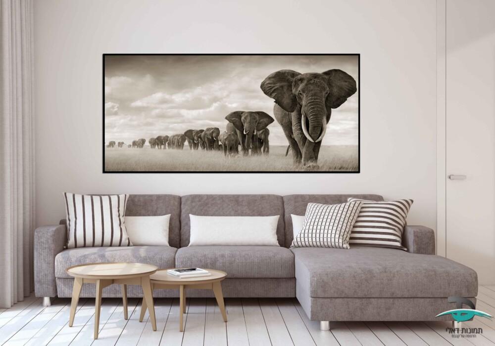 עדר פילים באופק מסגרת