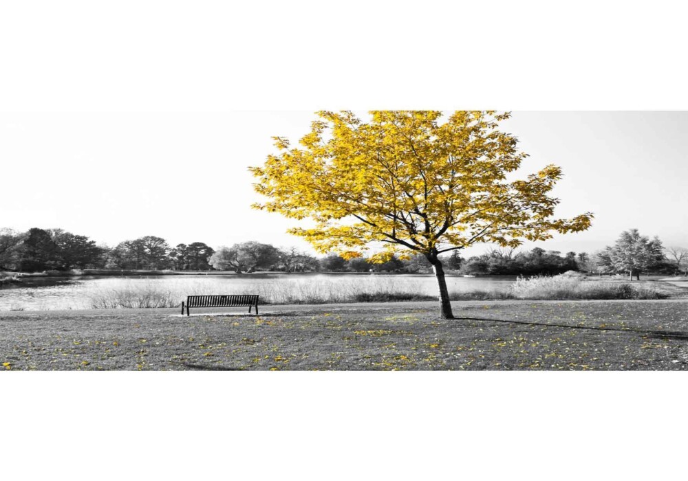 עץ צהוב ביום אפור2