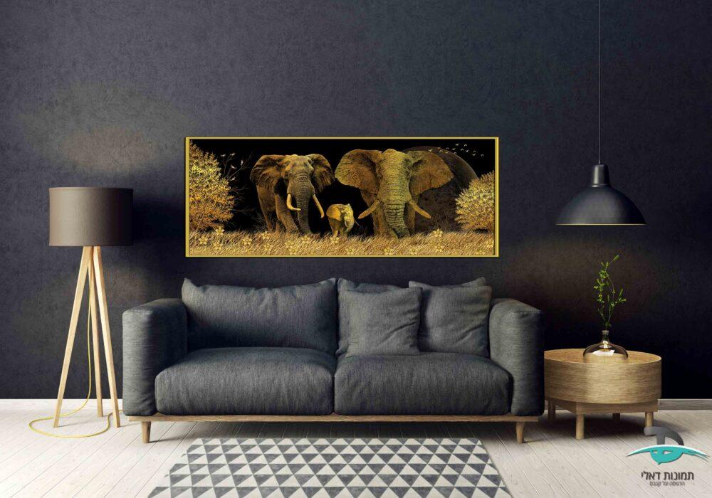 פילים בלילה מסגרת
