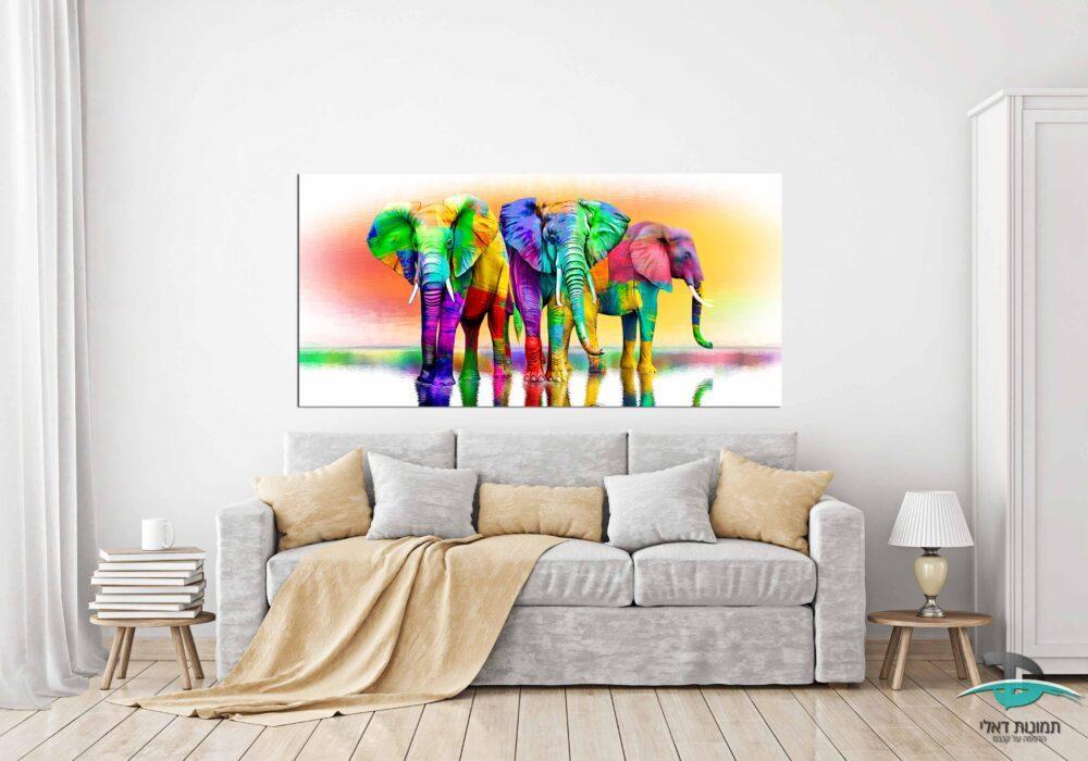 פילים צבעוני