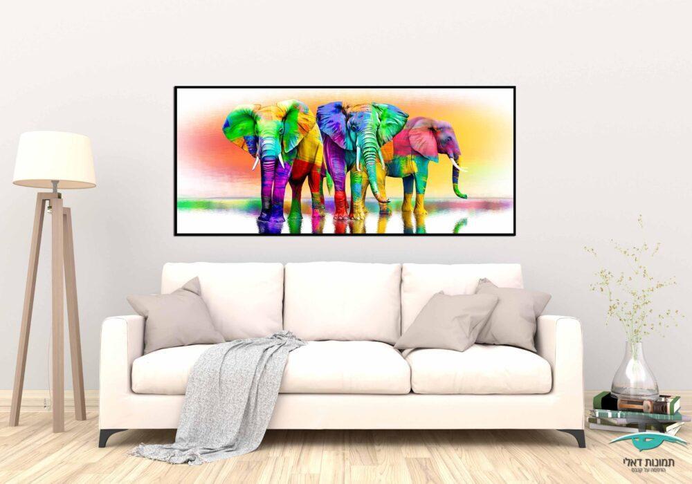 פילים צבעוני מסגרת