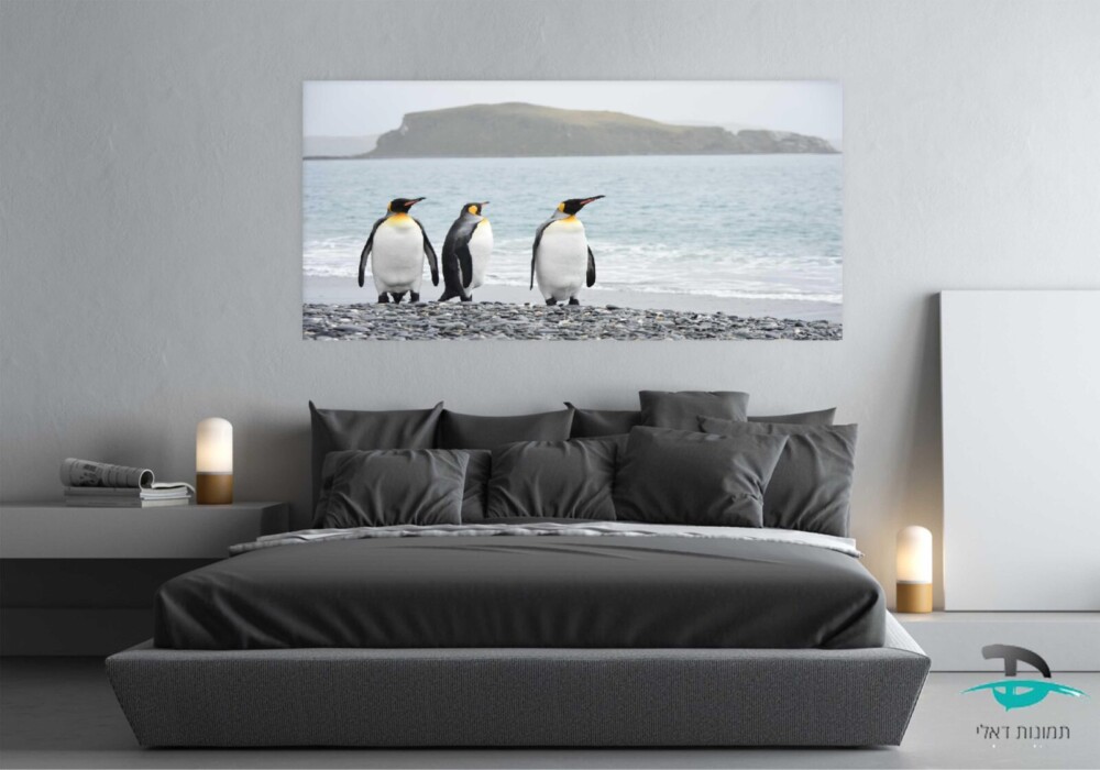 פינגווינים על חוף הים3