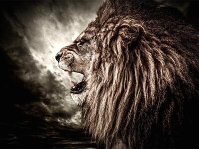 שאגת האריה בלילה